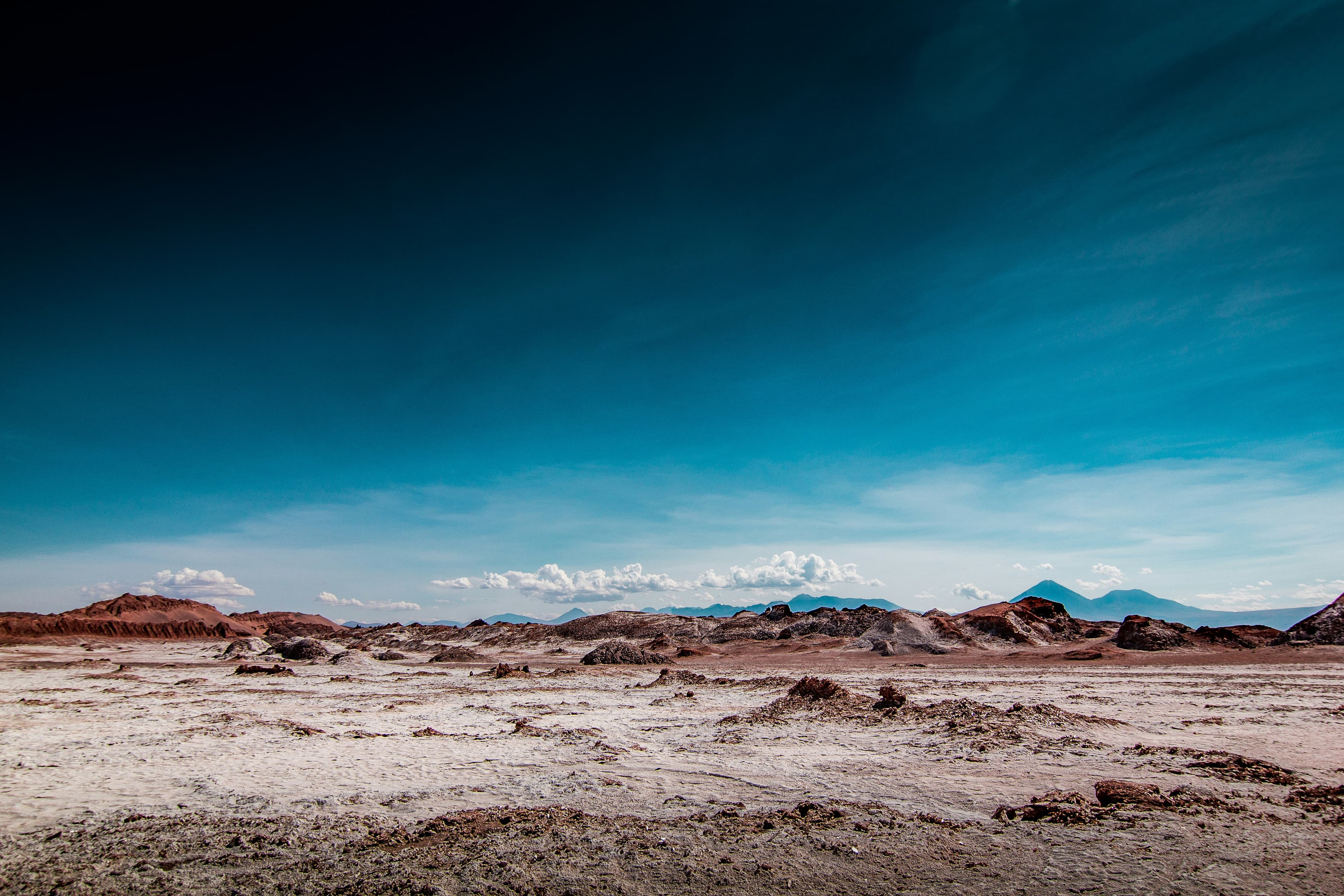 De Wake-Up Call van Wennink